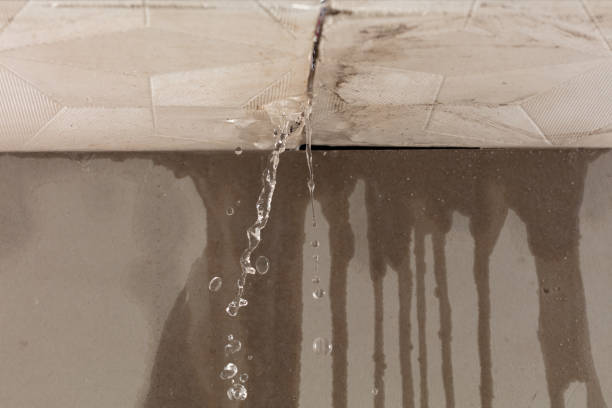 Professional Structural Drying technician working in Latty, OH
